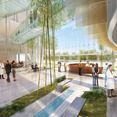 hospital-architecture